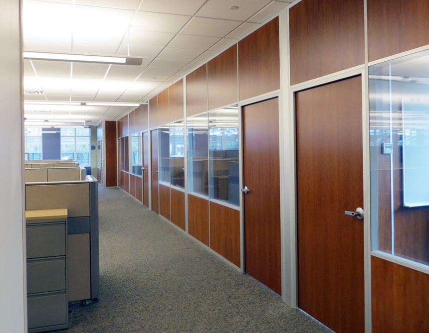 Solid panel interior walls with glass and solid matching doors