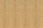 FIDDLEBACK MAPLE LIGHT fusion wall panel