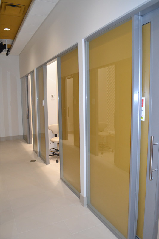 Flex system office shadow box glass walls #0600