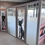 NxtWall Case Study - Animal Hospital of Rowlett Veterinary Clinic - Rowlett, TX #1624