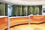 Fusion Custom - LuxCore - Forest Mural - Hospital Reception Installation