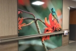 Fusion Custom - LuxCore - Healthcare Photo Installation