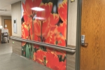 Healthcare Wall Installation - Fusion Custom - LuxCore