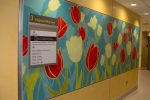 Fusion Custom - LuxCore - John Hopkins Hospital Nature Installation