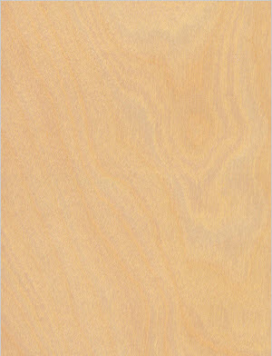 Birch wood veneer Birch wood veneer