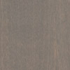 Plain Sliced White Birch - Driftwood