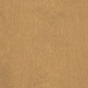 Plain Sliced White Birch - Sandstone